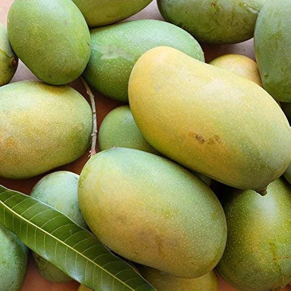 Malika Mango<1kg>