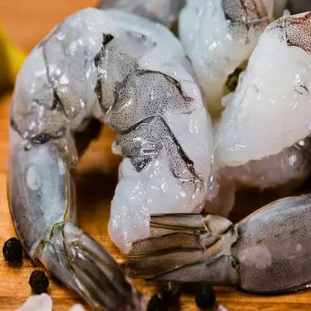 Frozen Prawns