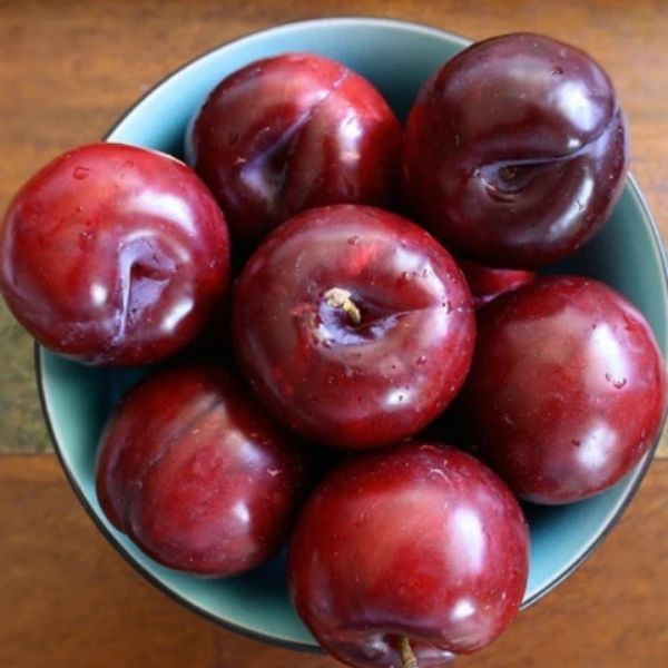 Red Plum<500GRAMS>