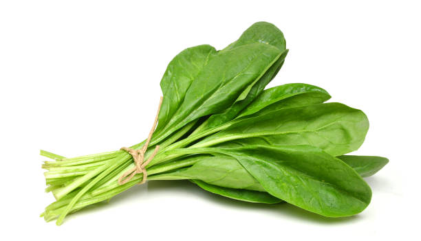 Spinach<250gram>