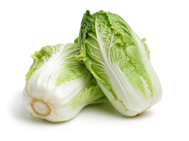 Chinese cabbage<1kg>