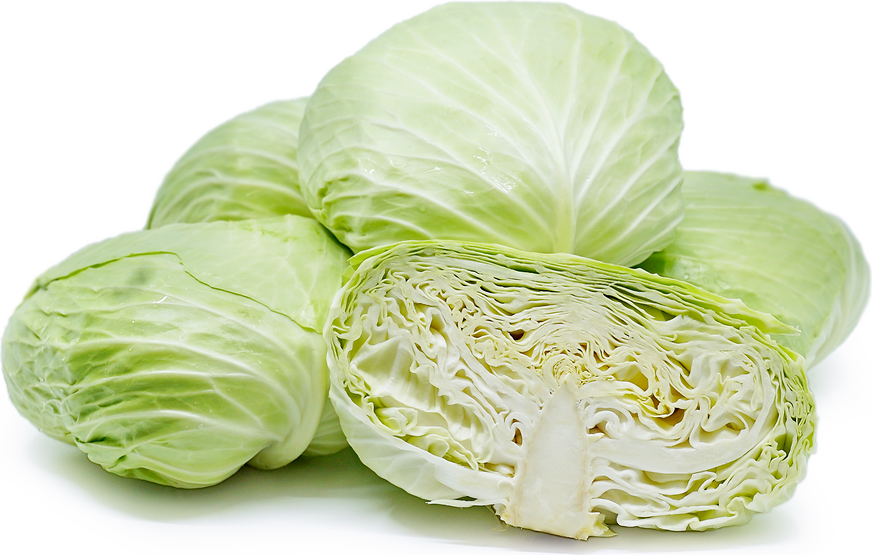 Japanese Cabbage
