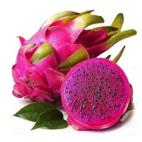 ドラゴンフルーツピンク（350g）
