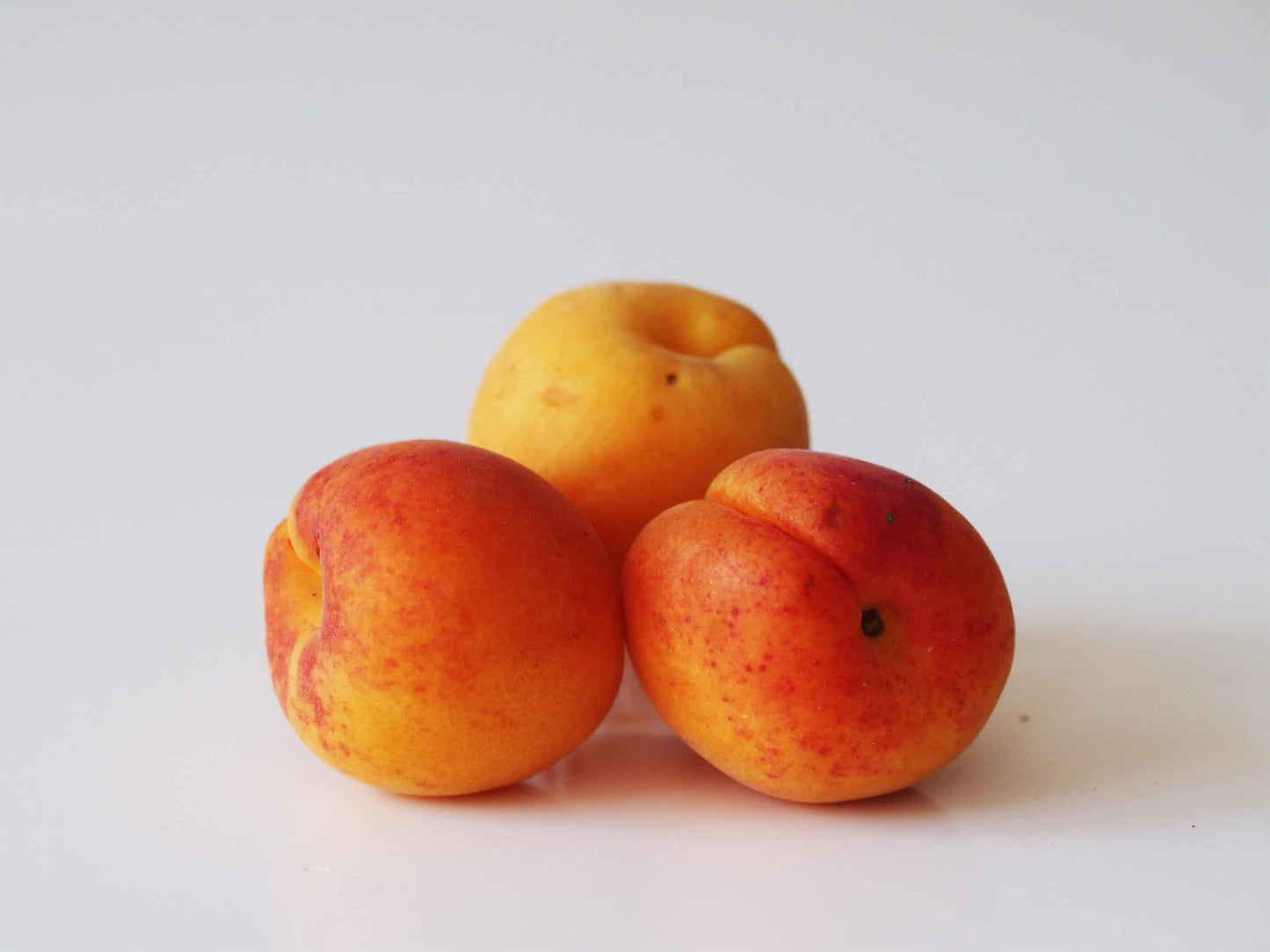 Apricot<500grams>