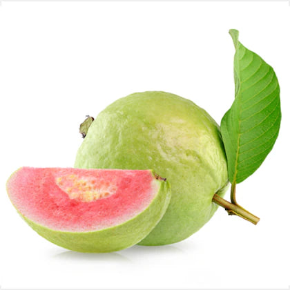 Japanese Red Diamond Guava <500 - 600 grams>