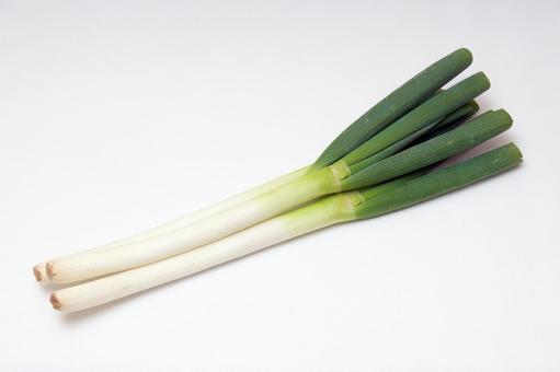 Leek<250 grams>