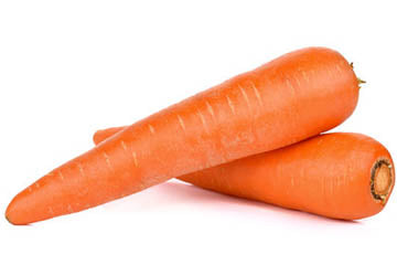 Carrot<500 grams>