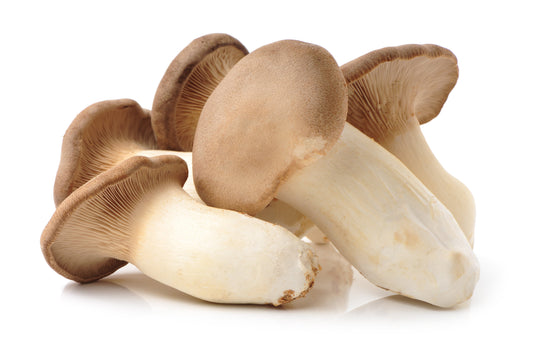 King Oyster Mushrooms