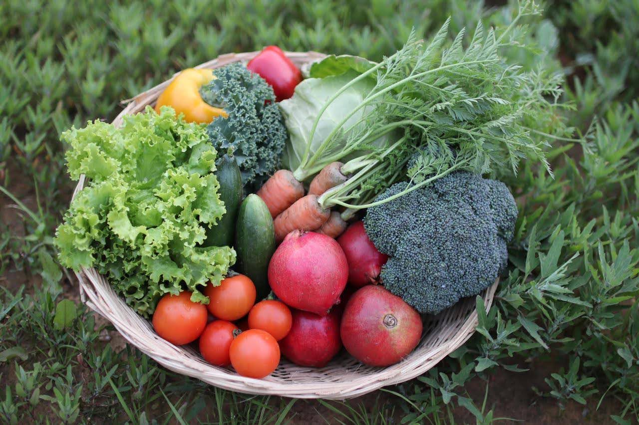 Assorted Seasonal Veggies and Fruits Set