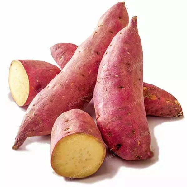 Sweet Potato<500 gms>