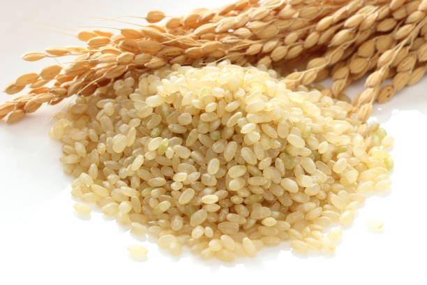 Aigamo Organic Japanese Brown Rice