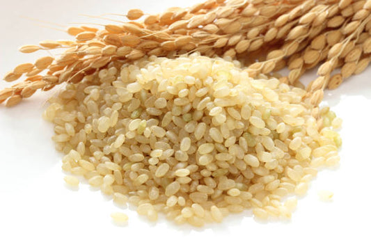 Aigamo Organic Japanese Brown Rice