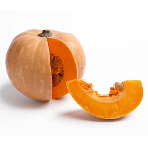 Pumpkin Yellow<500 gms>